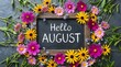 © Stocker - Chalkboard with hello august written in white chalk surrounded by vibrant colorful flowers and greenery on dark stone background springtime celebration.