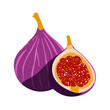 © MiniVex - 2D minimalist flat vector of a Fig, contemporary clean design isolated on white.