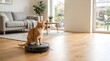 © Olinka N - A cat is resting on top of a robot vacuum in a modern room with sunlight coming through the windows. There are plants and a sofa visible nearby