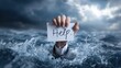 © Zarana  - Hand of businessman holding help sign while drowning in stormy sea