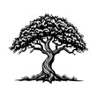 © Draxemam - Ancient tree with twisted trunk vector