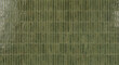 © EdisonArt - Elegant olive green ceramic tile wall background with glossy finish and modern vertical rectangular patterns for interior design decoration.