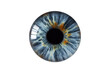 © Rasel - Close-up macro shot of a human eye iris featuring blue and golden radial textures and a black pupil, isolated on a solid black background