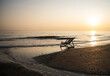 © Westend61 - Empty deckchair on a peaceful sandy beach at sunset