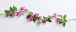 © Khawla - Green Vine with Dried Pink Flowers Isolated on White Background Botanical Element