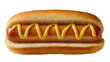 © Conor - Isolated classic grilled frankfurter in a fresh bun with yellow mustard on top, appetizing food