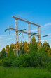 © Dmitrii Labrador - High voltage power transmission tower with wires above green forest, concept of electric grid, energy infrastructure and power supply.