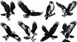 © MstShapla - Detailed collection of bird of prey illustrations featuring eagles hawks owls and falcons in vintage woodcut style