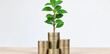© Rakib - Small green plant seedling growing from a stack of gold coins with investment business financial currency development corporate progress management strategy prosperity agriculture