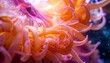 © Garry SG  - Close-up of a vibrant orange and pink sea anemone with delicate tentacles.