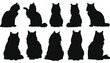 © Sarim - Cats display their unique forms in this series of solid black silhouettes showing the varied sitting and resting positions of the domestic pets on a clean white background for graphic layouts.