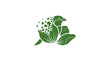 © Taola - Green leaf and bird silhouette illustration design.
