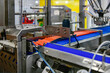 © I Viewfinder - Modern industrial hot dog production machinery processing fresh sausages on automated conveyor line