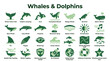 © Iconique Studio - Whales and Dolphins Icons Set Marine Life Cetacean Species Underwater World Ocean Creatures Biodiversity Conservation Symbols