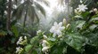 © Ramseena - White jasmine flowers and buds with water droplets on green leaves during monsoon rain in a tropical forest background