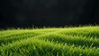 © Laiba Javed - Close-up Wind Blowing Through Vibrant Green Grass Field at Sunrise