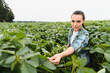 © Serhii - Female agricultural expert examining soybean crop in cultivated field