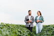 © Serhii - Two farmers discussing in a soybean field during a sunny day