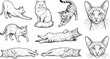 © Bishnupada - Retro woodcut domestic cats illustration bundle with monochrome pet portraits tabby stretching poses and sleeping kitten shapes for antique style design layout