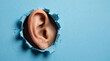 © Nusrat - Human ear peeking through ripped blue paper hole showing detail of skin texture and auditory organ for medical concept.