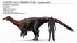 © Paulo - Aardonyx celestae size comparison with a human silhouette and educational information, isolated on a clean white background