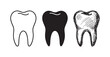 © BestFren - Three styles of molar tooth icons, depicting a dental tooth in outline, solid black, and hand-drawn sketched forms.
