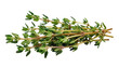 © Julia - Fresh thyme herb sprigs with small green leaves