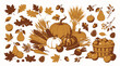 © Alis - Delightful autumn harvest bounty featuring a vibrant assortment of pumpkins, apples, corn, and diverse fall foliage, celebrating the season's abundance
