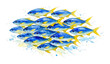 © Rawpixel.com - PNG Vibrant watercolor fish illustration.