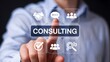 © Zee - Consulting business strategy concept with professional advisory services interface