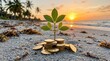 © shahabudin - Plant grows from coins on beach at sunset