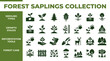 © Rama - Forest Saplings Collection Seedling Types, Growth Stages, Reforestation Tools, and Forest Care Icons