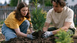 © Tania - Father and teenage daughter both wearing work gloves planting a sapling together in a backyard on Father's Day, the girl holding the root ball steady while he packs soil around it with both hands, a