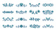 © Ahmad - Collection of blue floral design elements.