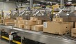 © DigitalSpace - Medium shot focusing on bulk cartons being sorted by size on an automated conveyor line with robotic arms labeling and packing large quantities for shipment.