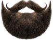 © Aether Io - A full well groomed beard and mustache with neatly curled ends showcasing rich brown hair texture and detailed strands facial hair grooming male man style fashion facial styled