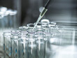 © Connect Images - A pipette adds liquid to a row of clear test tubes in a lab setting.