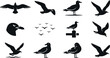 © RUBINA - Black seagull silhouette icon vector set featuring flying standing and soaring marine gulls with bird head and flock isolated on white background for beach design.