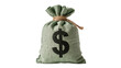 © Hannah - Green burlap money bag with dollar sign tied with rope