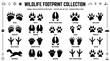 © kholid - Animal footprint tracks identification set for wildlife enthusiasts