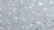 © Rodiego - Full-frame polished terrazzo surface in cool gray tones showing scattered white and translucent stone chips embedded in a smooth cement composite matrix.