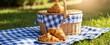 © miss irine - Wicker basket with blue checkered cloth holds croissants on picnic blanket. Fresh pastries rest on plate near basket in green grass. Sunny day outside meal.