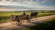 © Вадим Перегудов - Farmer driving a horse-drawn wooden cart on a dusty dirt road. Traditional transportation in a rural green landscape with sun rays