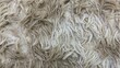 © MR HEPPY - Close-up of shaggy fabric surface with long intertwined fibers forming a soft, textured carpet or rug material