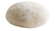 © Elena - Raw pizza dough ball dusted with flour