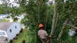 © Nu - Safe Tree Trimming and Pruning Service for Large Trees Near Residential Areas