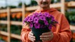 © Andrii Zastrozhnov - Closeup of hands holding purple petunia pot in nursery for garden banner design and retail display background