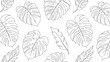 © James - Repeating black and white pattern of hand-drawn monstera and palm leaves for nature-themed coloring pages and decorative fabric prints.