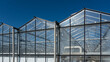 © Yuliia - Modern commercial glass greenhouse structures with steel frames under a clear blue sky on a sunny day