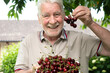 © luciano - Mature adult man beaming with joy, proudly displaying freshly harvested sweet red cherries in a bowl and in hand, embodying healthy eating and summer bliss